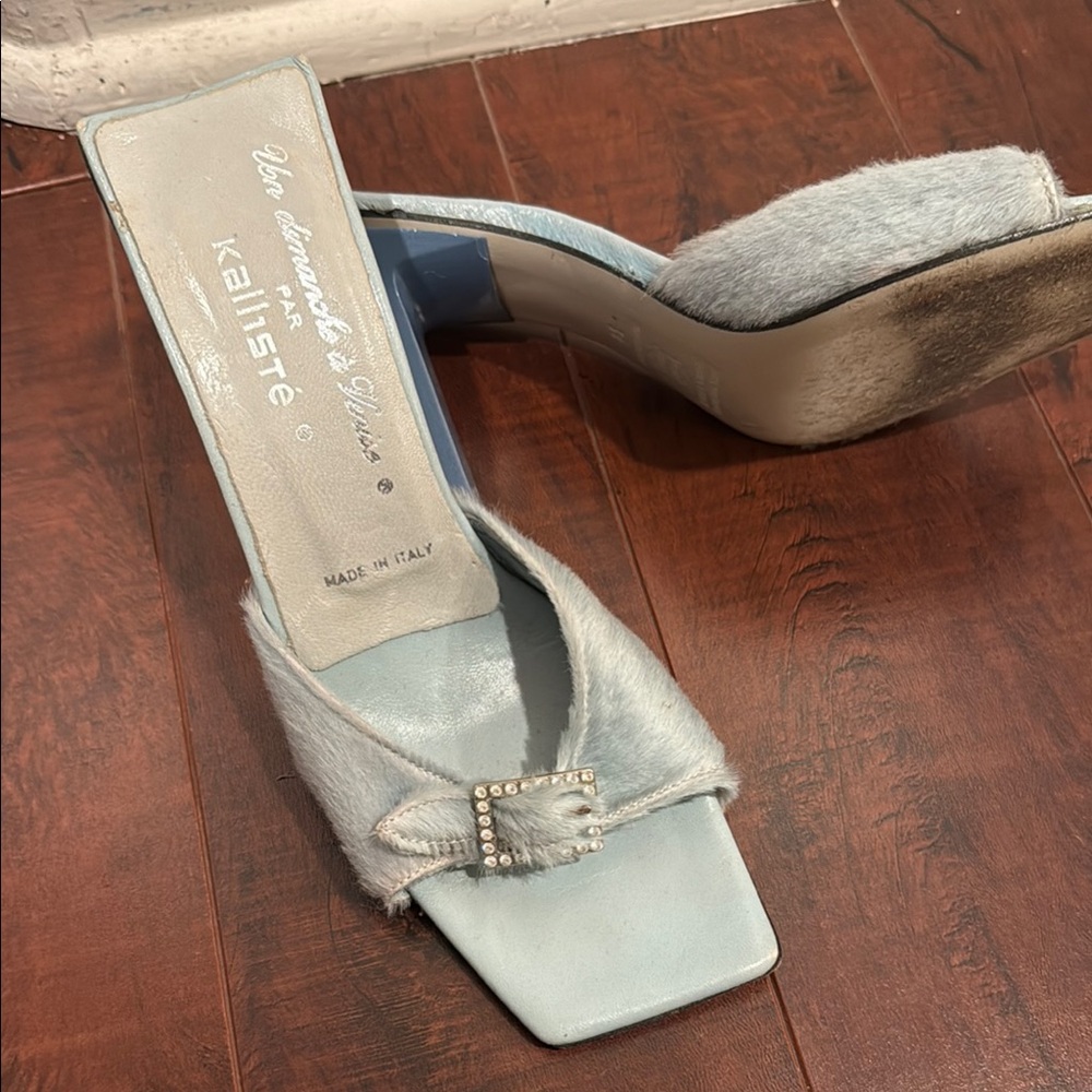 Lucy Paris Blue Mules Sleek Design
